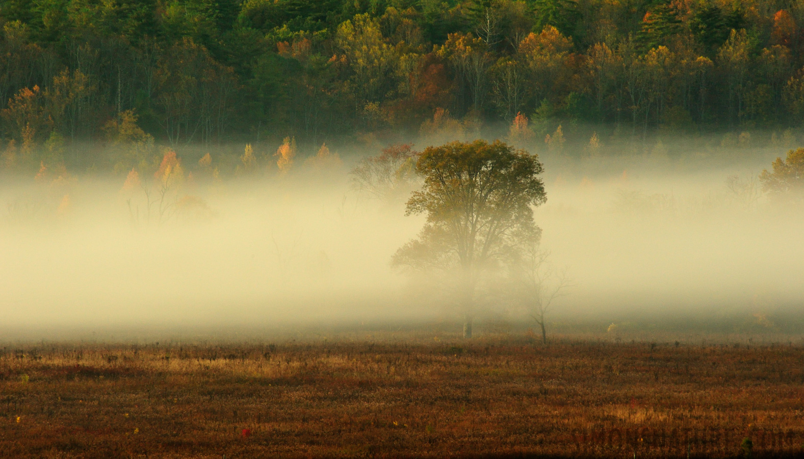 [300 mm, 1/100 sec at f / 14, ISO 1600]